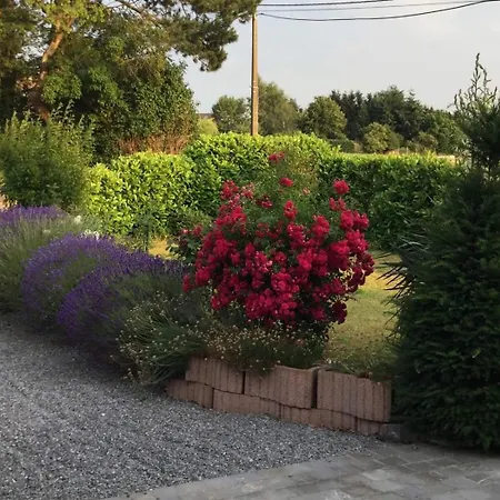 Ferienhaus Gite Sur Puremont